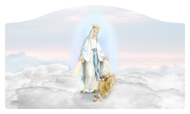 DASHELL-113 Lady of the Miraculous Medal B